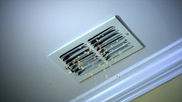 Best Duct Cleaning Specialists  in Firestone, CO