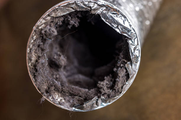 Best HVAC Air Duct Cleaning  in Firestone, CO